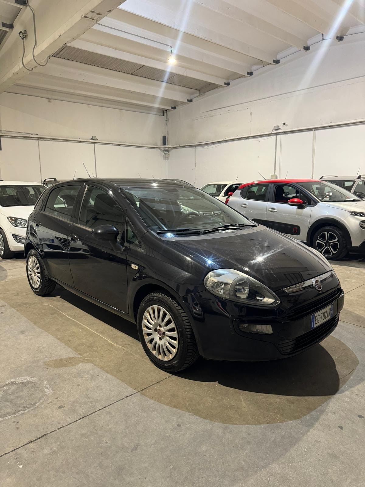 
FIAT PUNTO EVO 1.2 5P SeS Dynamic full									