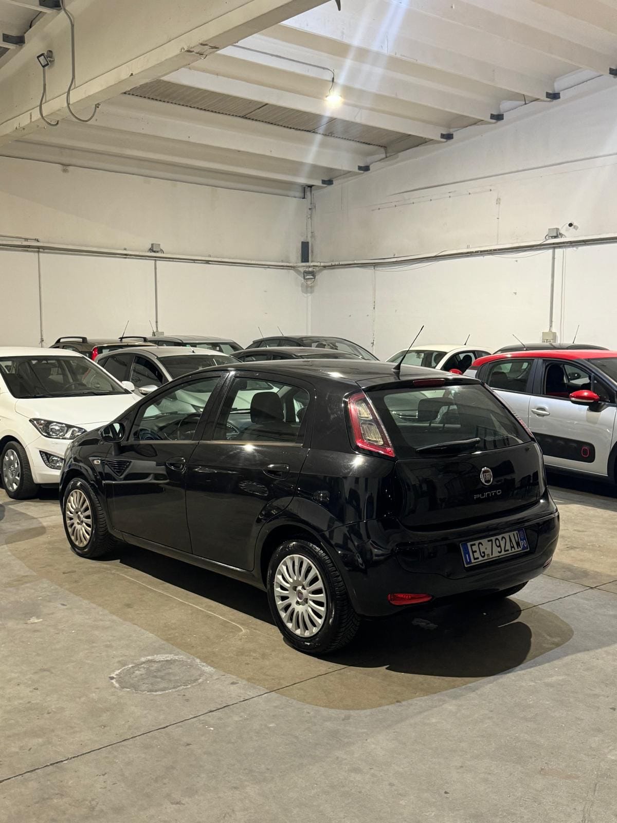 
FIAT PUNTO EVO 1.2 5P SeS Dynamic full									