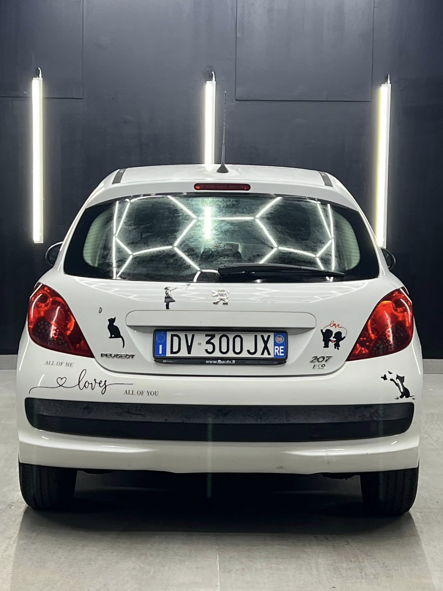 
PEUGEOT 207 1.4 8V 75CV 5P Energie Sport ECO full									
