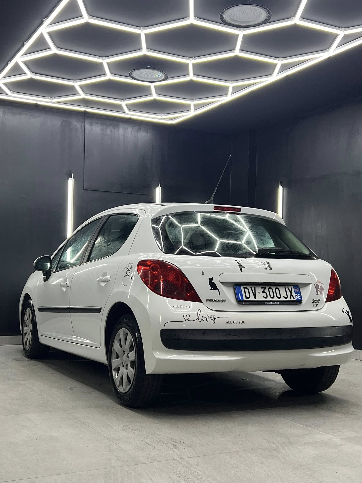 
PEUGEOT 207 1.4 8V 75CV 5P Energie Sport ECO full									