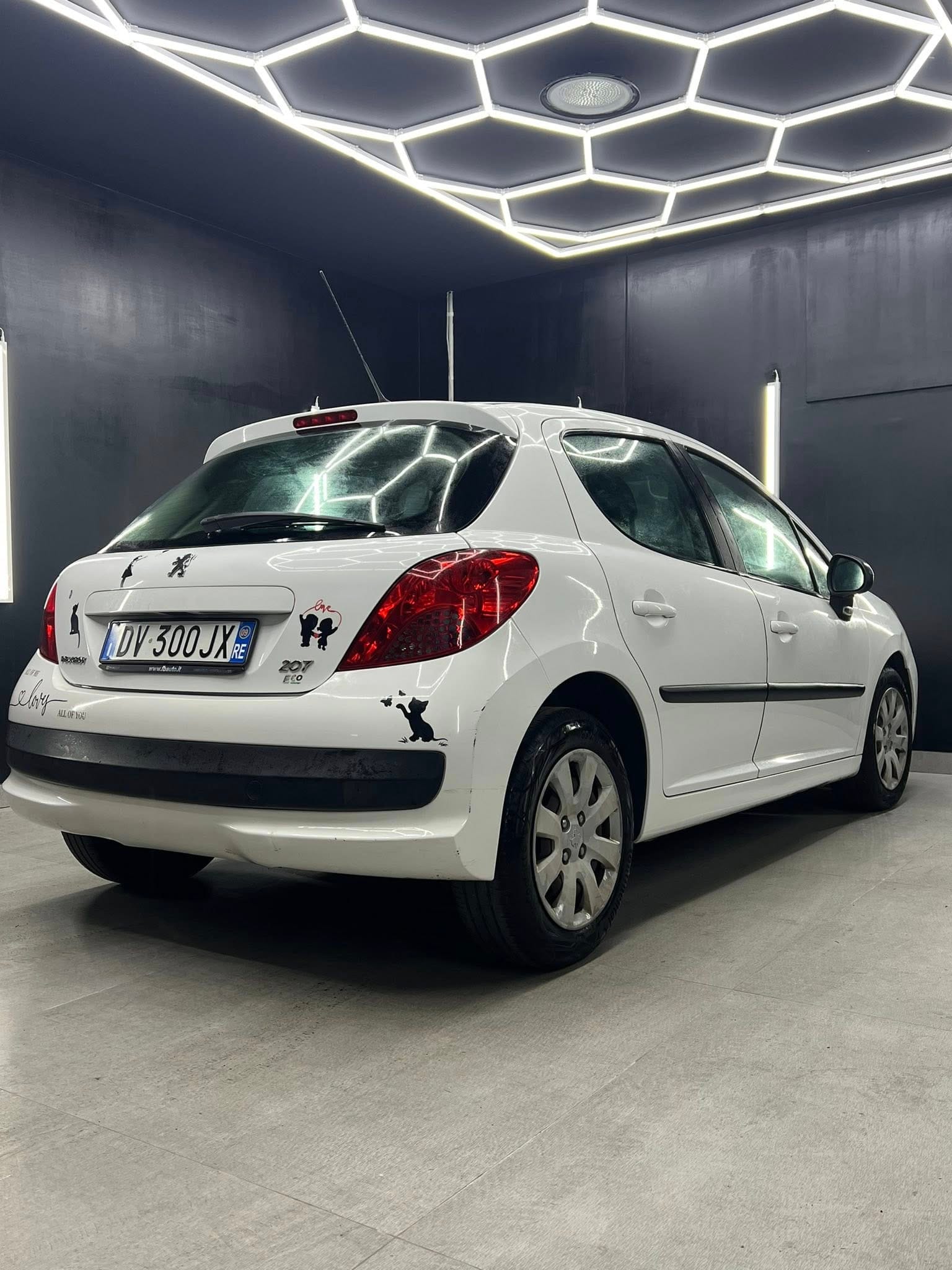 
PEUGEOT 207 1.4 8V 75CV 5P Energie Sport ECO full									