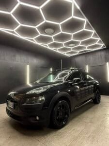 CITROENC4 Cactus BlueHDi 100 S&S Shine2015