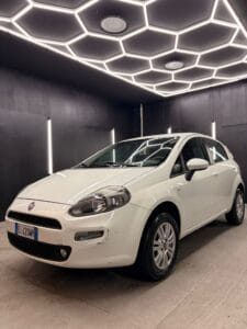 FIATPunto Evo 1.4 5p Active Natural Power2012
