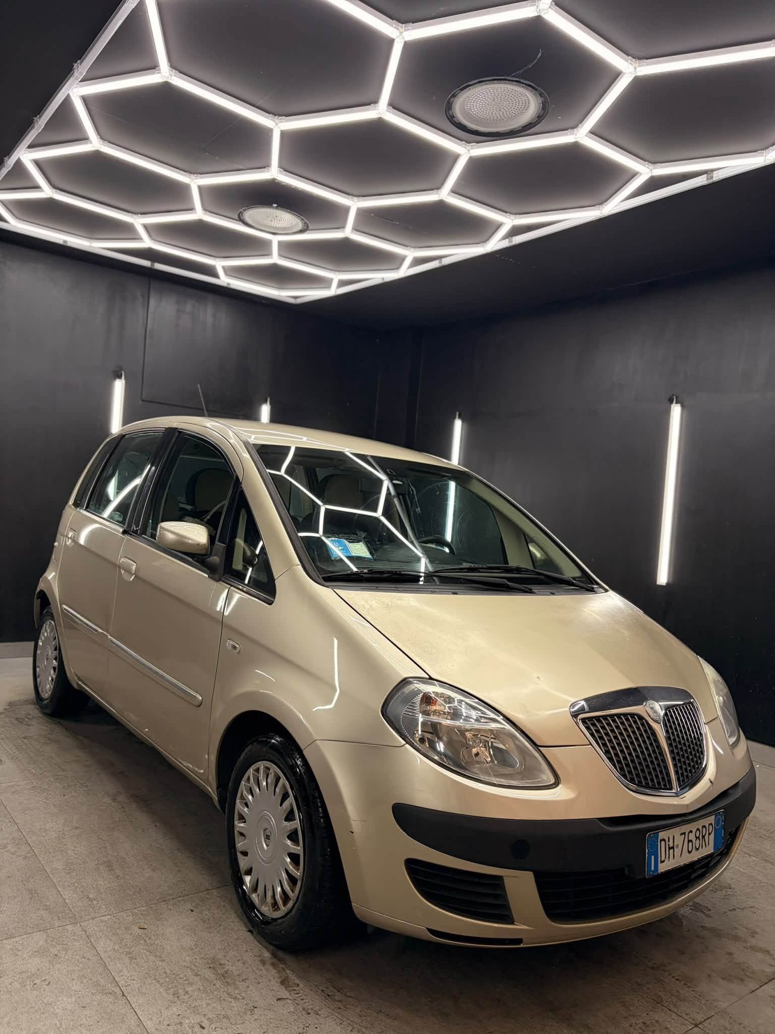 
								LANCIAMusa 1.4 16V Platino Plus full									